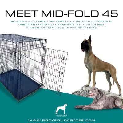 meeet Mid Fold 45
